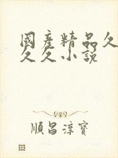 国产精品久久久久久小说