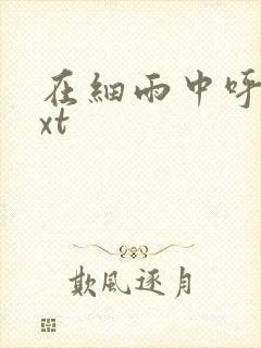 在细雨中呼喊txt