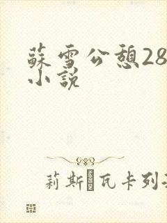 苏雪公憩28篇小说