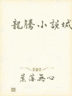 龙腾小说城