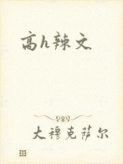 高h辣文