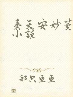 秦天安妙菱修仙小说