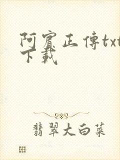 阿宾正传txt下载