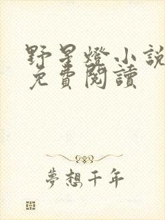 野星灯小说全文免费阅读