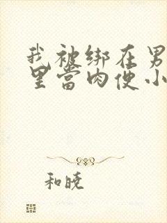 我被绑在男公厕里当肉便小说