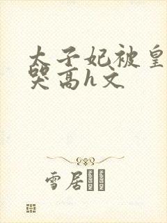 太子妃被皇上c哭高h文