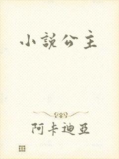 小说公主