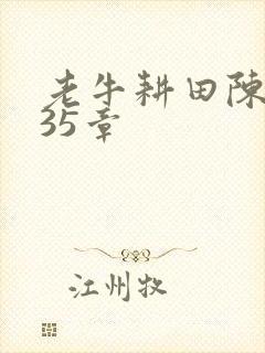 老牛耕田陈雪435章