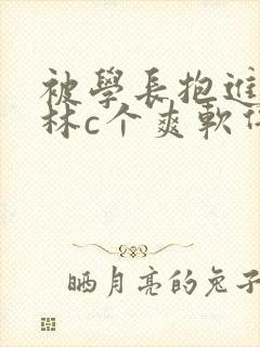 被学长抱进小树林c个爽软件