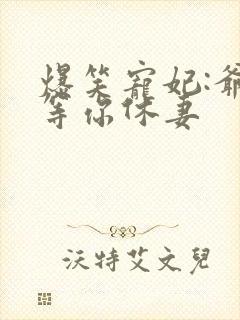 爆笑宠妃:爷我等你休妻