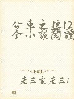 公车之狼12集全小说阅读