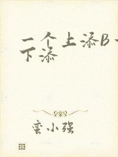 一个上添B一个下添