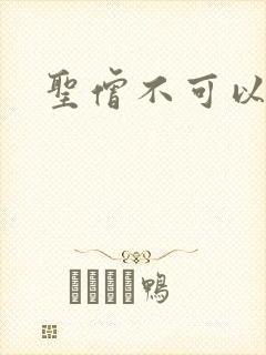 圣僧不可以