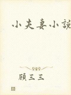 小夫妻小说
