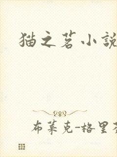 猫之茗小说