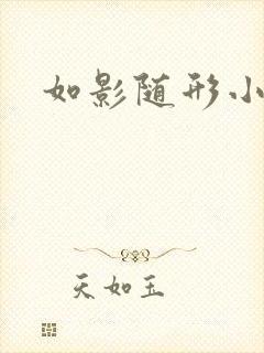 如影随形小说