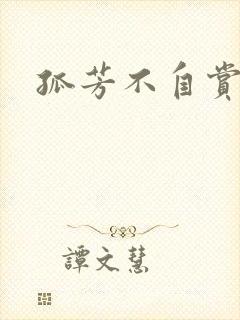 孤芳不自赏小说