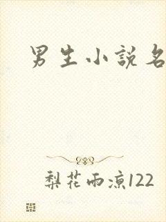 男生小说名字