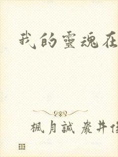 我的灵魂在古代