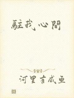 驻我心间