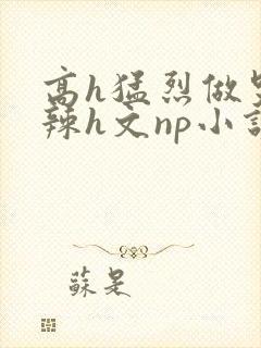 高h猛烈做哭高辣h文np小说