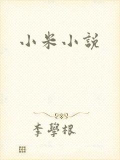 小米小说