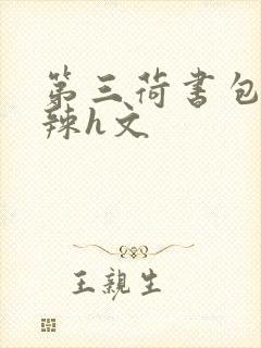 第三荷书包网高辣h文