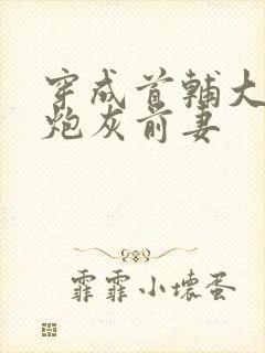 穿成首辅大人的炮灰前妻