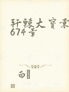 轩辕大宝袁雪妃674章