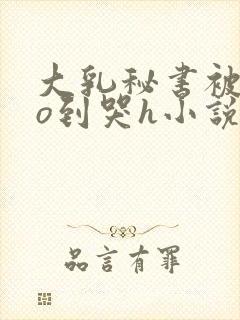 大乳秘书被cao到哭h小说