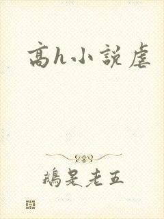 高h小说虐