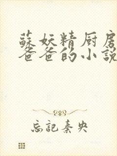 苏妖精厨房爹爹爸爸的小说