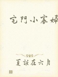 宅门小寡妇