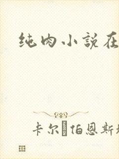 纯肉小说在线