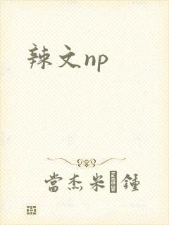 辣文np
