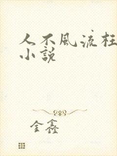 人不风流枉少年小说