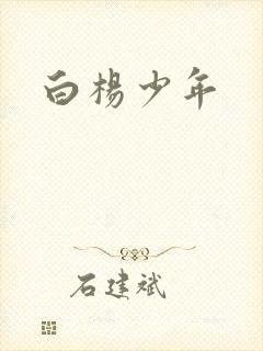 白杨少年