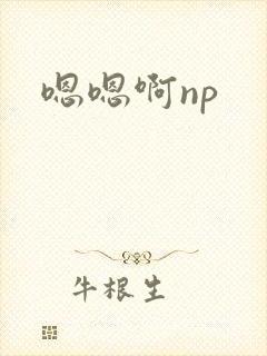 嗯嗯啊np