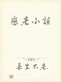 恋老小说