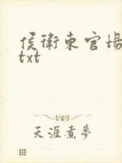 侯卫东官场笔记txt