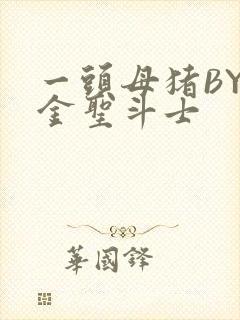 一头母猪BY黄金圣斗士