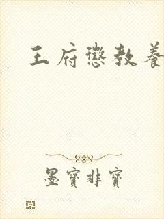 王府惩教养日常