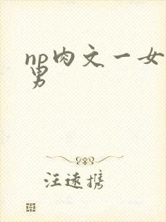np肉文一女多男