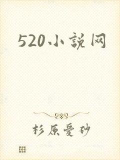 520小说网