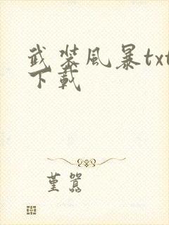 武装风暴txt下载