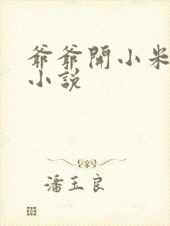 爷爷开小米的包小说