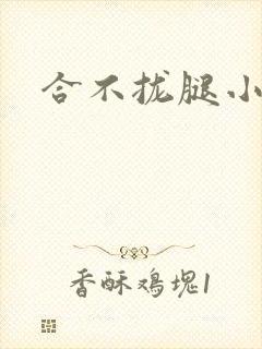 合不拢腿小说