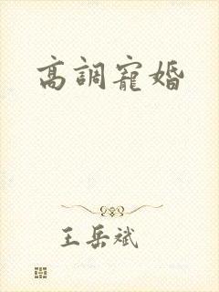 高调宠婚