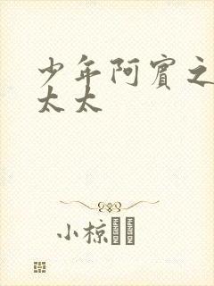 少年阿宾之房东太太