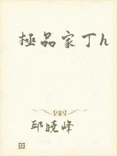 极品家丁h